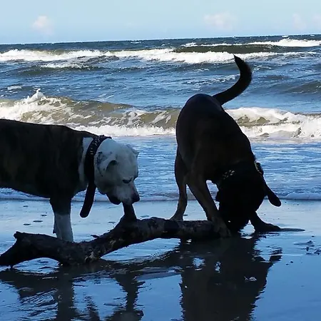 Bei Familie Habben Mit Pkw Stellplatz Appartamento *