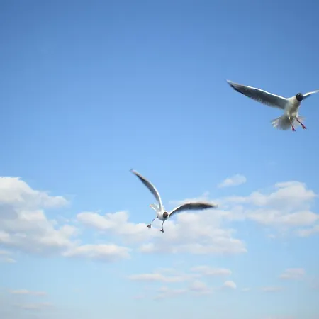 Bei Familie Habben Mit Pkw Stellplatz Uckeritz