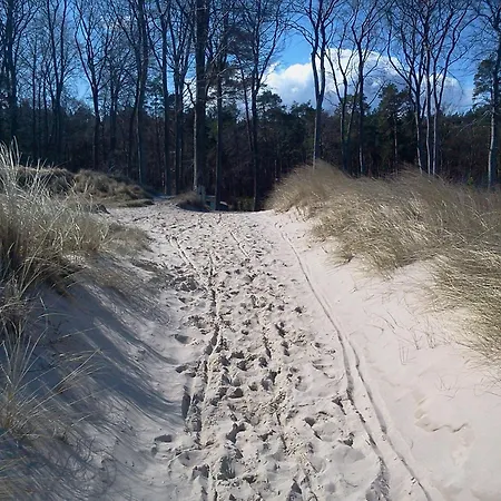 Bei Familie Habben Mit Pkw Stellplatz * Uckeritz