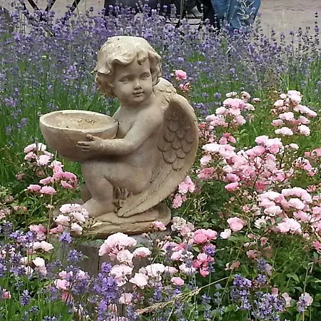 Appartamento Bei Familie Habben Mit Pkw Stellplatz Uckeritz