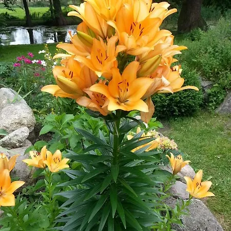 Appartamento Bei Familie Habben Mit Pkw Stellplatz Uckeritz